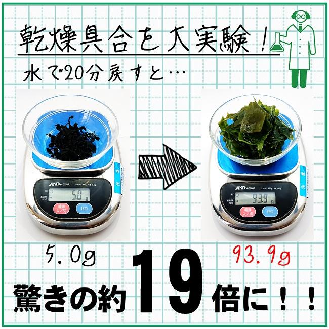 乾燥 カットわかめ 100ｇ 送料無料 国産 三陸産 ふえるわかめ 味噌汁 サラダ 海藻