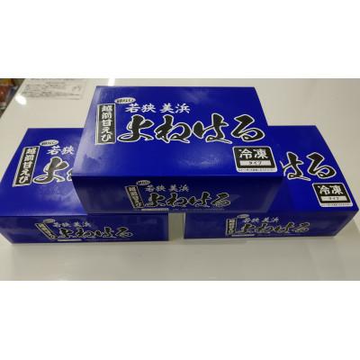 ふるさと納税 美浜町 大好評!越前甘エビ　1.5kg(1箱約30尾入りを3箱お届けします)