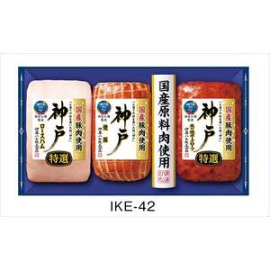  伊藤ハムギフト IKE-42