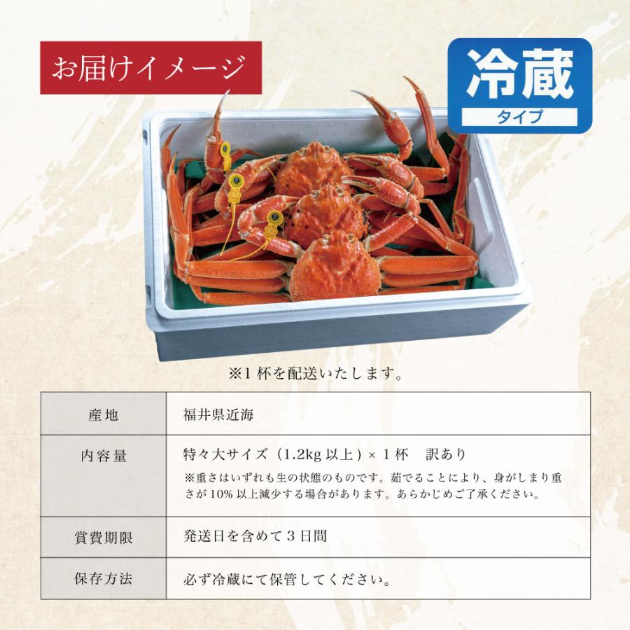 かに カニ 蟹 訳あり 越前がに 越前蟹 ずわい蟹 ズワイガニ ずわいがに 姿 送料無料 お歳暮 ギフト プレゼント お祝い 特々大サイズ 1.2kg以上 1杯