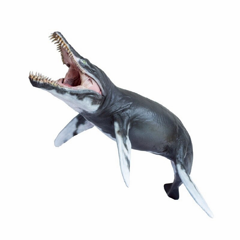 即納 Pnso 1 35 サイズ クロノサウルス 海洋博物館 海生爬虫類 恐竜 リアル フィギュア Pvc モデル 模型 おもちゃ プレゼント プレミアム 29 5cm級 オリジナル 塗装済 完成品 通販 Lineポイント最大1 0 Get Lineショッピング