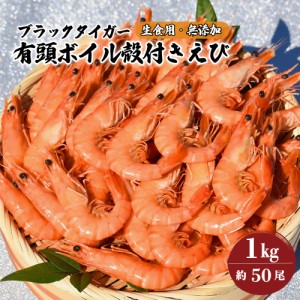 殻付き ボイル 有頭ブラックタイガー 約50尾 1KG 冷凍 生食用 無添加 セミIQ凍結 高鮮度 流水解凍後殻をむいて食べられる 活き〆ボイル