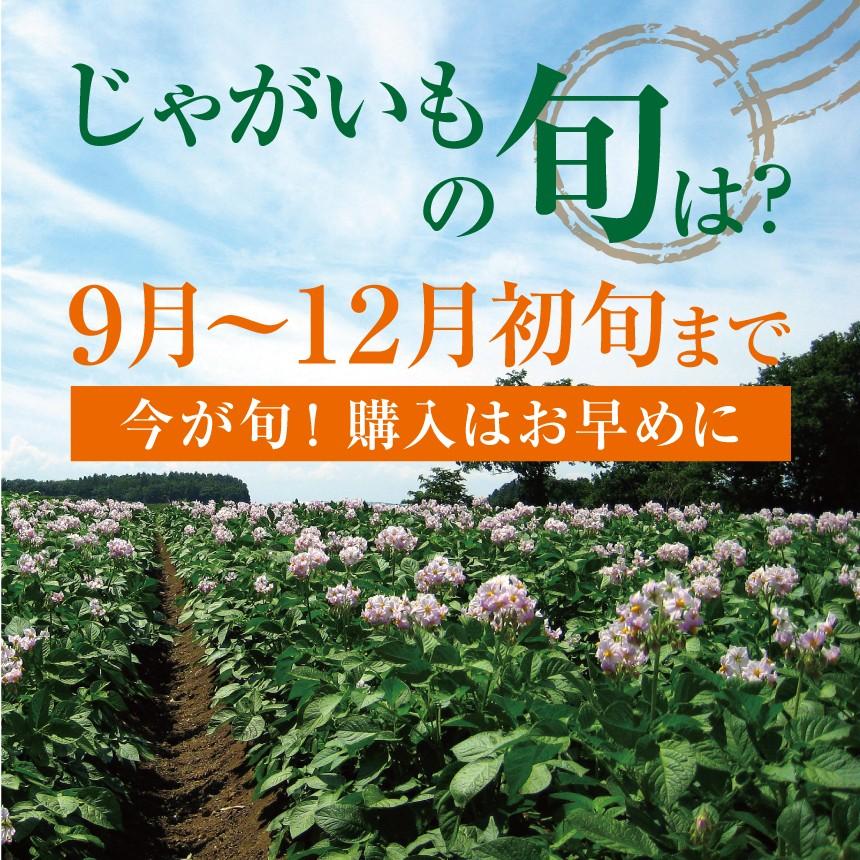 野菜 じゃがいも 北海道産 北あかり キタアカリ S〜2L 5kg 有機栽培