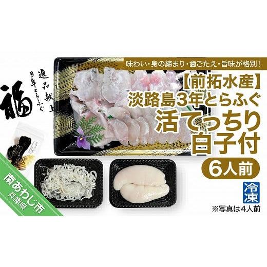 ふるさと納税 兵庫県 南あわじ市 淡路島3年とらふぐ（活てっちり／白子付6人前）冷凍◆配送12月2日〜2月28日