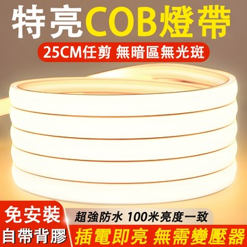 隔日達🔥led燈條 高亮燈條 110v高壓COB燈條 戶外防水燈條 柔性燈條 軟燈條 柔性燈條 25CM/剪288燈