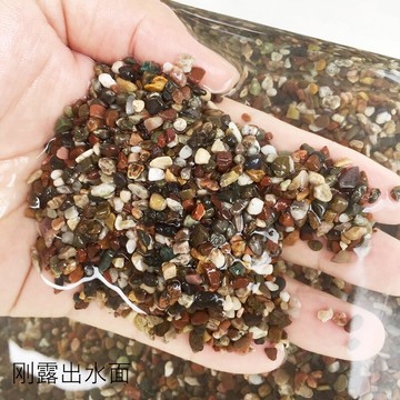天然魚缸底砂原生缸造景石溪流砂溪流石河沙大磯沙蝦虎南美缸龜缸