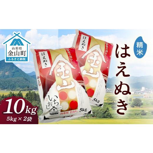 ふるさと納税 山形県 金山町 2023年産新米 金山産米「はえぬき」（5kg×2袋） 計10kg 米 お米 白米 ご飯 精米 ブランド米 はえぬき 送料無料 東北 山…