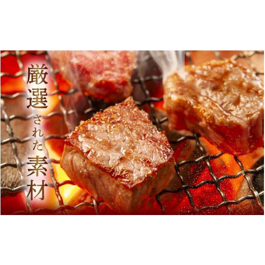 ふるさと納税 福井県 坂井市 極上！若狭牛づくし 希少部位BBQセット 計900ｇ（タレ付き） [G-1801]