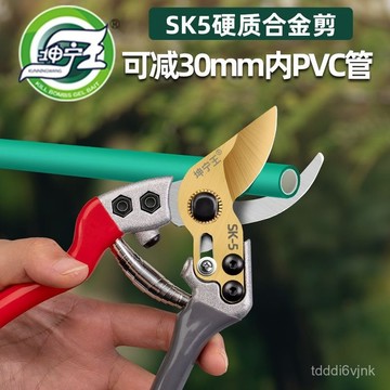 【園藝剪刀】剪樹剪子 果樹剪 新款 修枝剪刀 蘋果樹 進口SK5鋼 原裝 耐用 鋒利 樹枝剪 電動剪刀