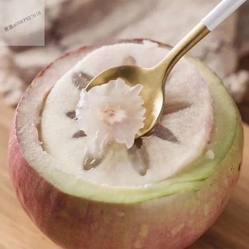 12h出貨 牛奶果種子（20粒）超甜水果星蘋果種子 越南稀有水果種子 漿果 seed 庭院陽台農田種植 四季種植