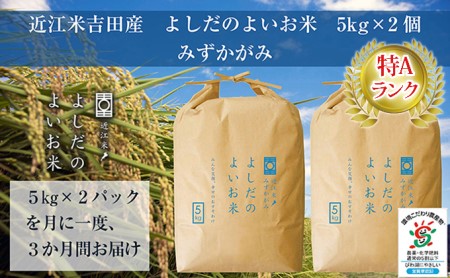 米 定期便 3ヶ月 近江米 みずかがみ 10kg 令和5年 よしだのよいお米 お米 こめ コメ おこめ 白米 3回 お楽しみ