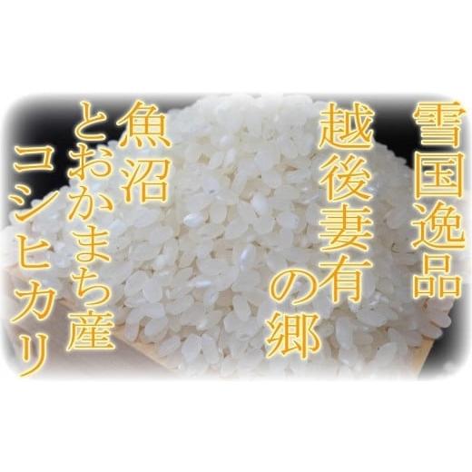 ふるさと納税 新潟県 十日町市 ●定期便● 越後妻有の郷 魚沼十日町産コシヒカリ