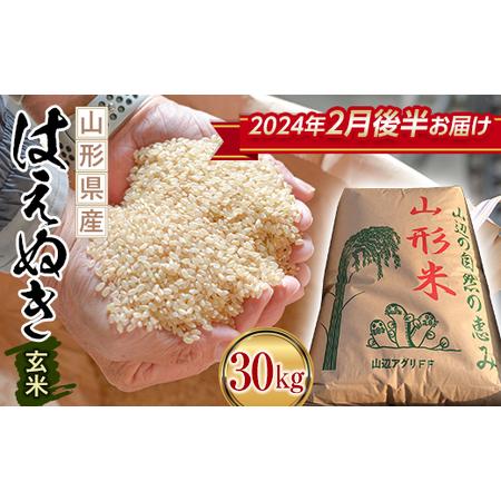 ふるさと納税 《先行予約》 2023年 山形県産 はえぬき 玄米 30kg（段ボール箱入り）（2024年2月後半にお届け）お米 ブランド米 こめ コメ F21A-3.. 山形県山辺町