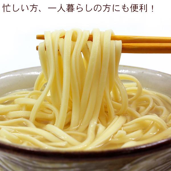 サン食品 半生沖縄そば 100g