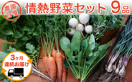 59-2農園自慢の情熱野菜セット（9品）