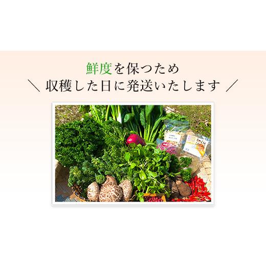 ふるさと納税 京都府 福知山市 京野菜15品目詰合せ  ふるさと納税 京野菜 野菜 京都府 福知山市