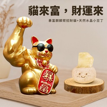 🧡天蠍座生日快樂『1+1獨家組合』【COZY PLUS+】暴富麒麟臂招財貓與天然水晶原石小豆丁＃CAT041 #CP0226 生日禮物 開業禮物 開運 招財 喬遷禮物 父親節快樂