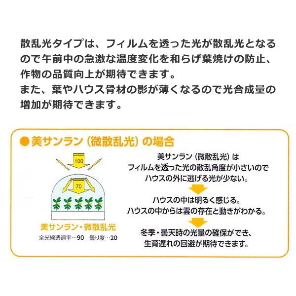 塗布型無滴農POフィルム　美サンランイースターUVカット　厚さ0.1mm　幅540cm　ご希望の長さを数量で入力　散乱光 梨地タイプ