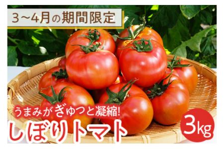 3～4月の期間限定　うまみがぎゅっと凝縮！しぼりトマト 3kg※着日指定不可※2024年3月上旬～4月中旬頃に順次発送予定