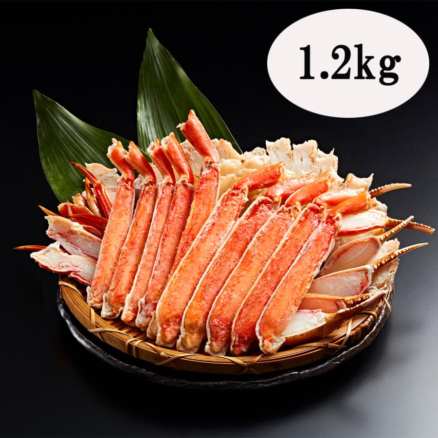 ボイルずわいがに半剥き身（特大サイズ 計1.2kg）