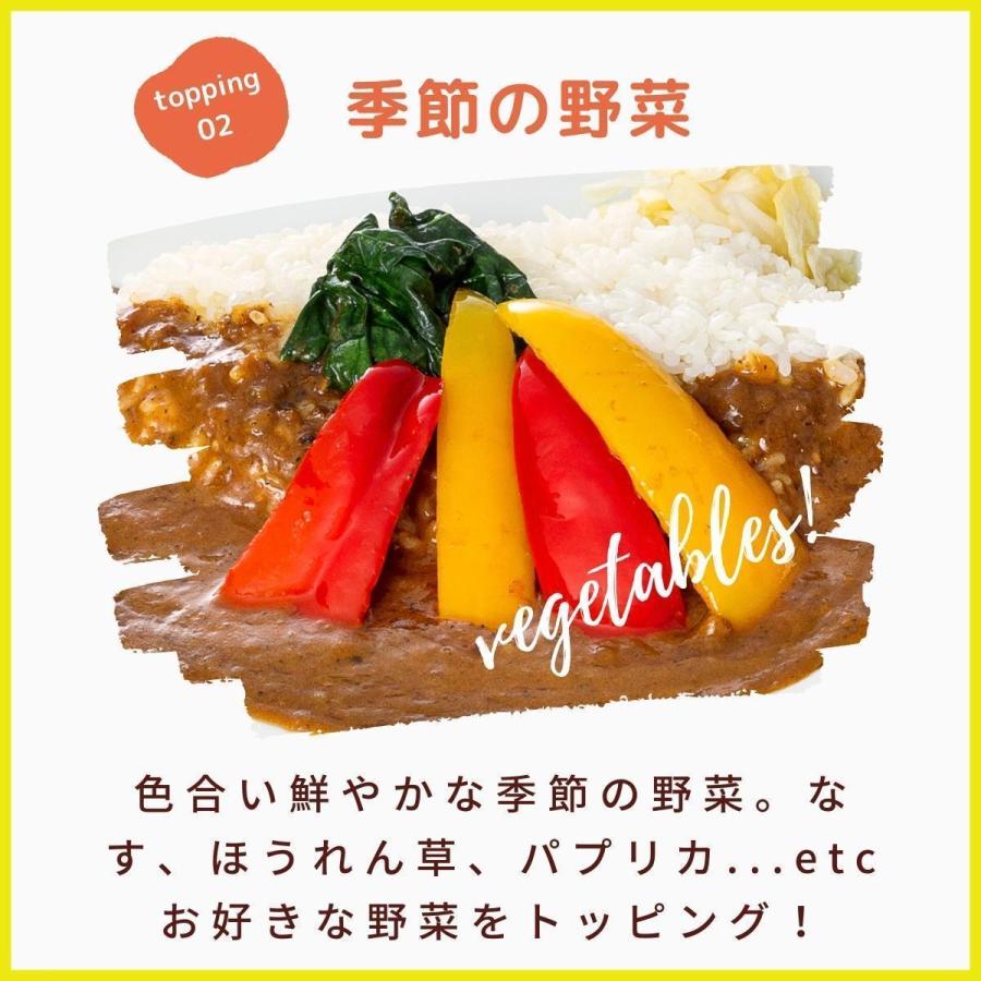 お試しセット 上等カレー レトルト食品 詰め合わせ 手土産 大阪 お土産    プレーン＋えび芋入り (500g × 2袋  約6人前)