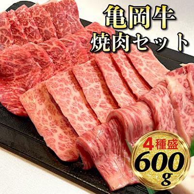 ふるさと納税 亀岡市 亀岡牛焼肉4種セット(各150g)計600g