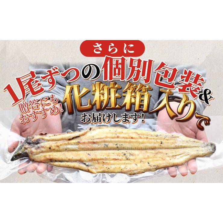 うなぎ 伊勢志摩産 白焼き 特大サイズ ３尾 送料無料 国産 ウナギ 鰻 蒲焼き 丑の日 個包装 冷凍 化粧箱入 お歳暮 ギフト