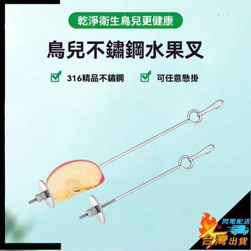 【台灣出貨】小鳥不鏽鋼水果叉 鸚鵡水果叉 鳥類掛勾食物叉 小鳥玩具叉 鳥籠懸掛式叉子 鳥籠配件 中大型鸚鵡鳥用品