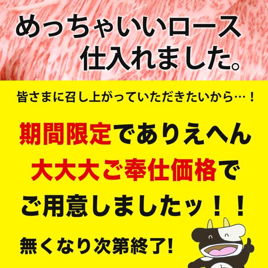 牛肉 松阪牛 A5 ロース すき焼き肉 500g お歳暮 御歳暮 歳暮 冬ギフト 送料無料 すき焼き 人気 プレゼント 誕生日 肉 贅沢 お取り寄せ 松坂牛ギフト