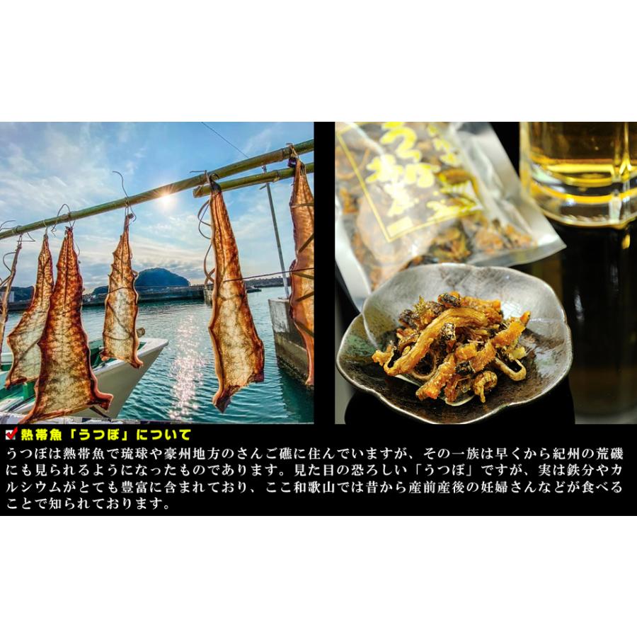 国産 海鮮 おつまみ 珍味 うつぼ揚煮 佃煮 45g×3個 無添加 唐揚げ ウツボ うつぼ うつぼ揚げ煮 酒のつまみ 酒の肴 干物 佃煮 ウツボの干物 敬老の日