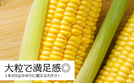 北海道 千歳産 とうもろこし 430ｇ以上 25本 恵味スター 野菜 トウモロコシ 甘い 旬 夏 BBQ ＜ファーム安澤＞