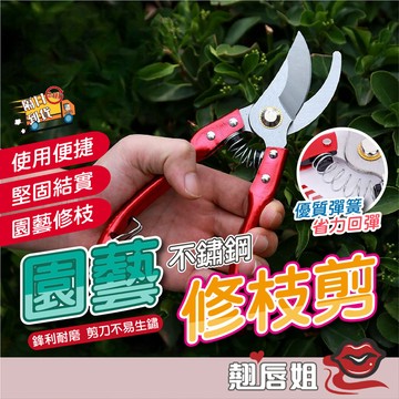 挑戰最超值 SK5鋼材園藝剪 鮮花剪 葡萄火龍果剪 埰摘果 樹枝修枝 專用剪 園藝修枝剪 摘果剪 園藝剪刀 修枝剪