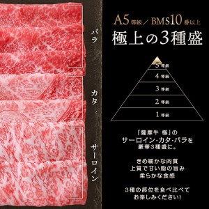 鹿児島県産黒毛和牛「薩摩牛極」スライス3種盛り600g(300g×2P) a6-034