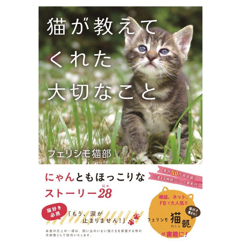 猫が教えてくれた大切なこと