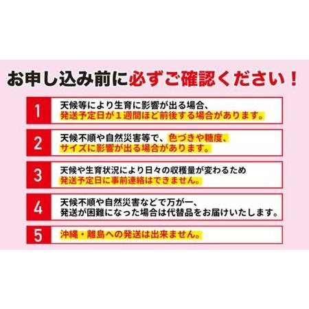 ふるさと納税 No.2419菅野房吉商店　ふくしまのサンふじりんご　5kg 福島県福島市