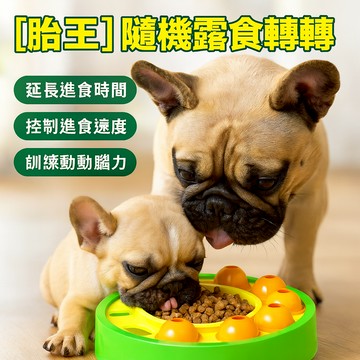 [胎王] 隨機露食轉轉 慢食碗 智力遊戲 寵物用品