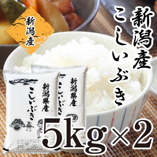 新米 10kg 新潟産 こしいぶき お米 10キロ 送料無料 令和5年産 5kg×2 10キロ あすつく 白米 精米 おいしいお米 美味しいお米 美味しい米 単一原料