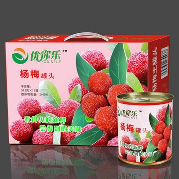 【網紅】楊梅罐頭  飲料糖水   罐頭    零食6罐1箱