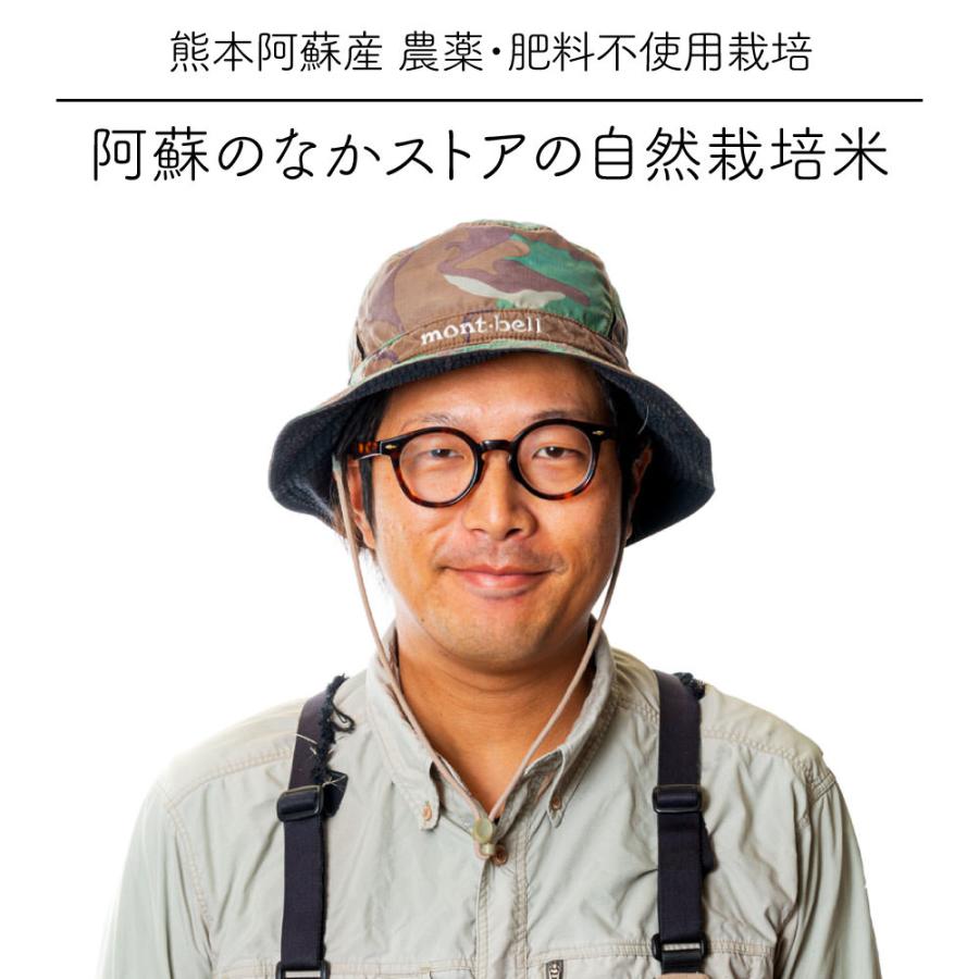 阿蘇のなかストアの自然栽培米   ササニシキ   無農薬栽培米   熊本阿蘇産   令和5年度産