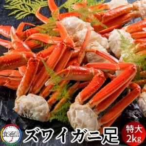 ずわいがに ボイルずわいがに足 特大2kg ズワイガニ脚肉