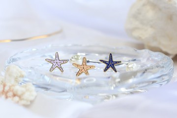 海星 Starfish 海洋生物 夾式耳環 手工飾品 生日禮物 紙盒包裝