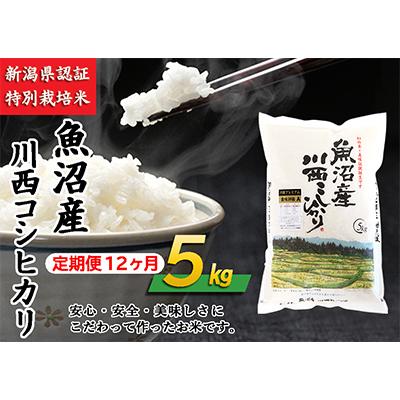 ふるさと納税 十日町市 新潟県　魚沼産川西こしひかり5kg　全12回