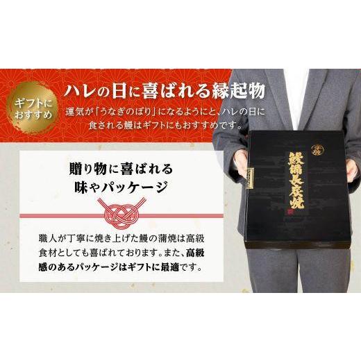 ふるさと納税 鹿児島県 大崎町 うなぎ備長炭手焼蒲焼２尾(合計300g以上）