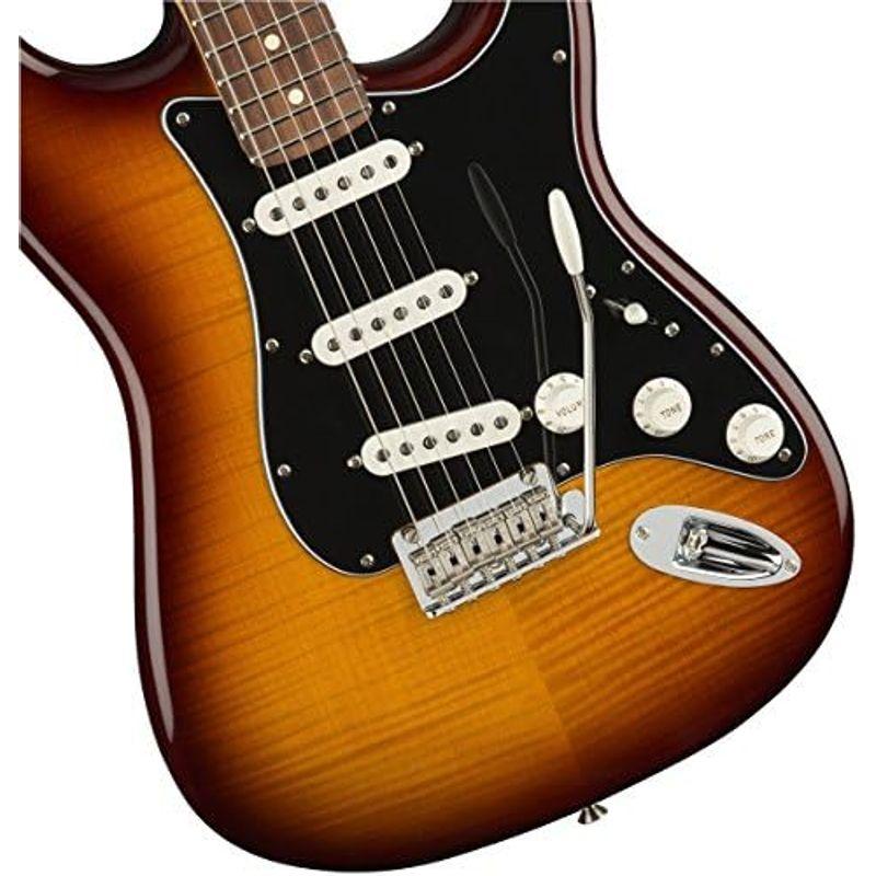 Fender エレキギター Player Stratocaster? Plus Top, Pau Ferro Fingerboard, To