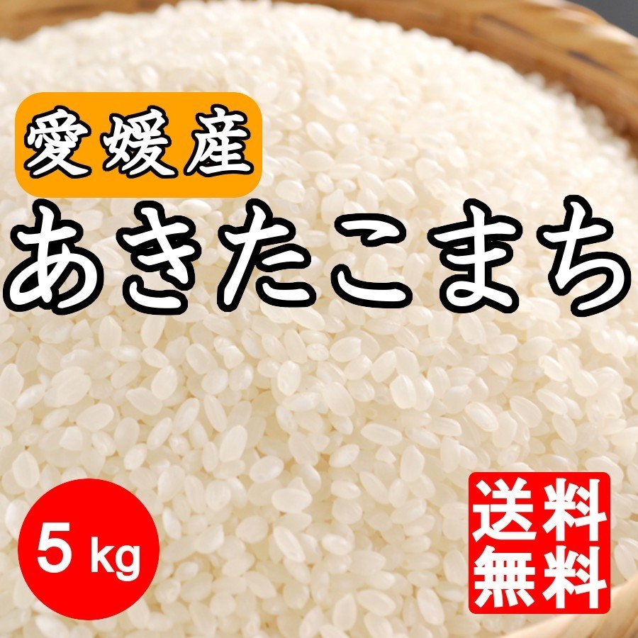 米 5kg 送料無料 新米 「愛媛県産 あきたこまち 5kg 」 5キロ 四国 令