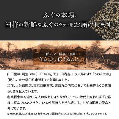 ふるさと納税 大分市 臼杵ふぐ山田や ふぐ刺・ちり鍋セット 2人前_E05015