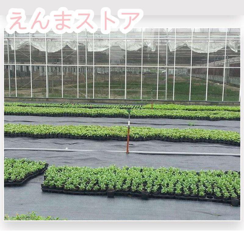 防草シート 1m幅×長さ100m 農用シート 除草 雑草 芝生 草 抗菌剤入 耐用年数 約6-7年 砂利 芝 人工芝 高密度強力防草シート・黒DIY 雑草シート 雑草駆除