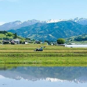 ふるさと納税 雪ほたか　玄米5kg 群馬県川場村