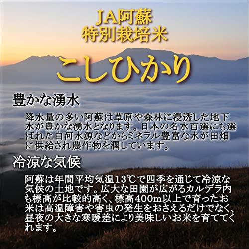 新米 無洗米 令和5年産 ＪＡ阿蘇 特別栽培米こしひかり 10kg(5kg×2袋)