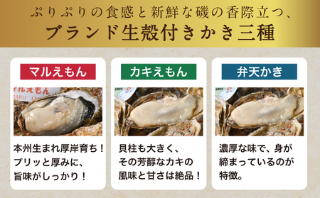 2月発送 北海道 厚岸産 殻かき三種 食べ比べ セット